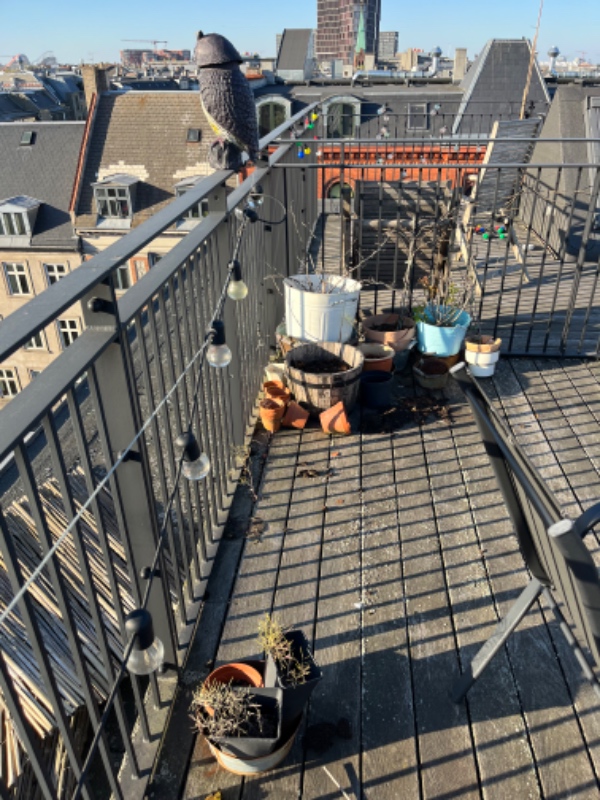Bærehjælp på Nørrebro