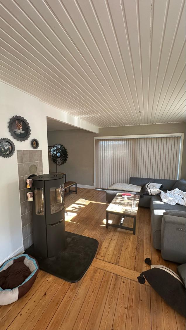 Grundig rengøring af hus 158 m2