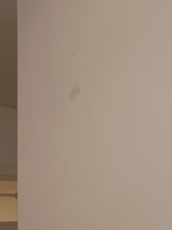 Reparation af gipsvæg