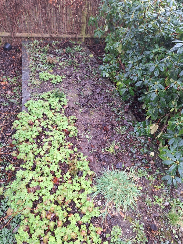 Grave højbed op hvor der stod buske, fjerne små stubbe, fjerne jorden, køre jord væk, lægge ny jord på