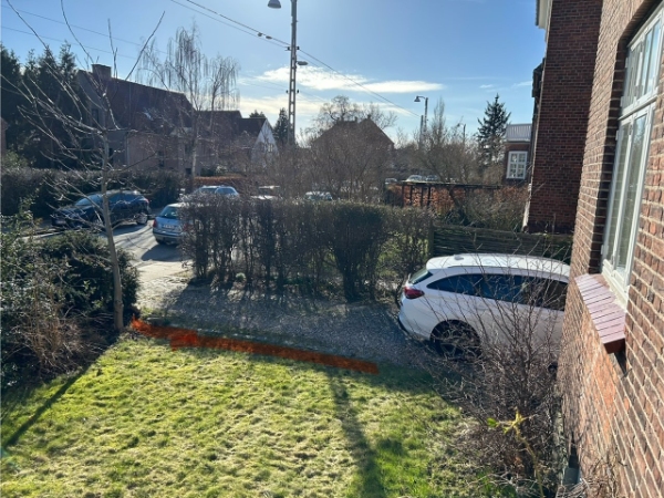 Plant a 4.5 meters kirsebærlaurbær hedge in a front garden