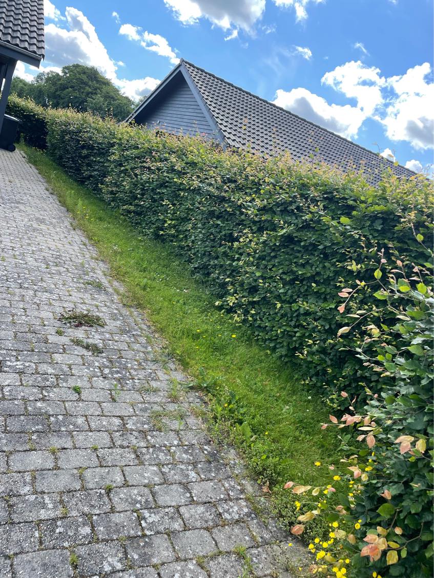 Slå græs
