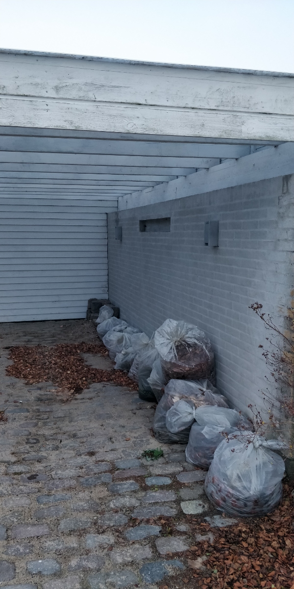 Hjælpe med at bortskaffe haveaffald