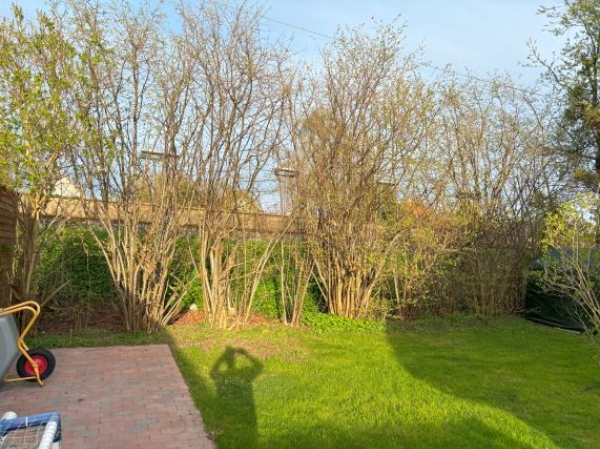 Diverse Have grave-opgaver