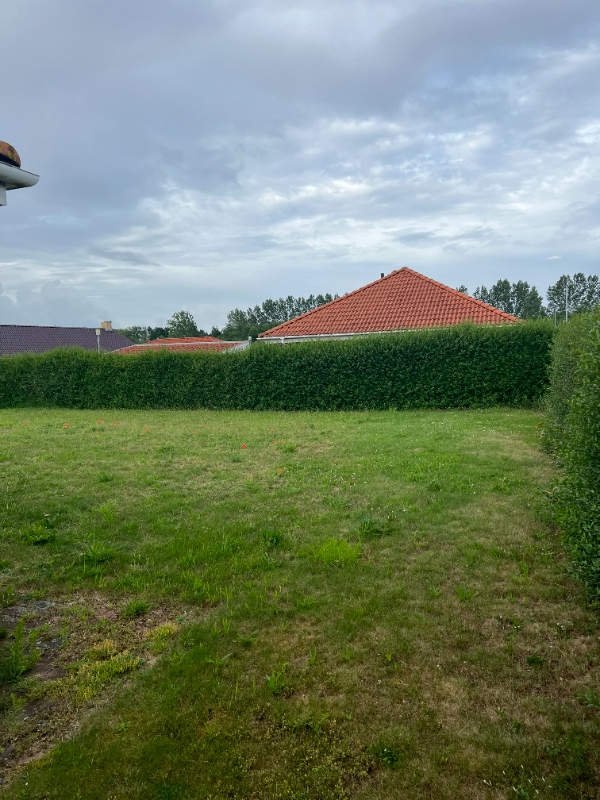 Klipning af ligusterhæk og bøgehæk samt efterfølgende bortkørsel af affald.