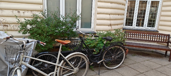 Bortskaffelse af jord og pallekasser, nedtagning af hegn mm.