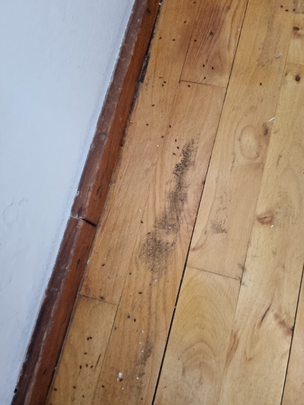 Gulv slibning ca 6 m2