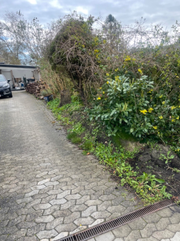 Havearbejde og beskæring af syren