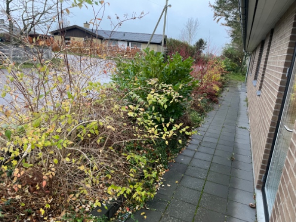 Hjælp til havepleje - ukrudt mellem fliser, i bede mv.