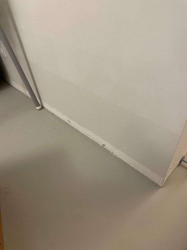 Opsætning og maling af gulvpaneler