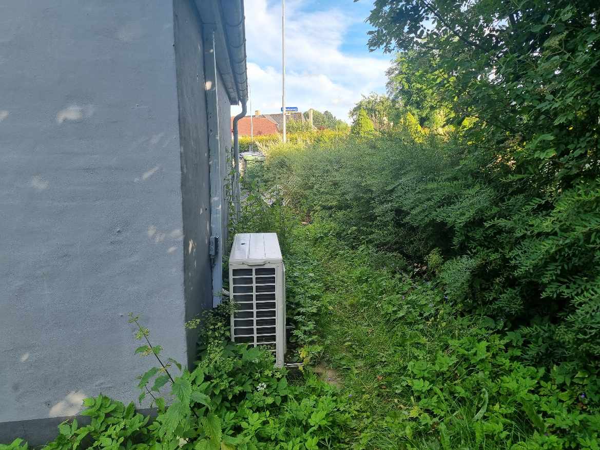 Hjælp efter overtagelse af ca 80 kvm have