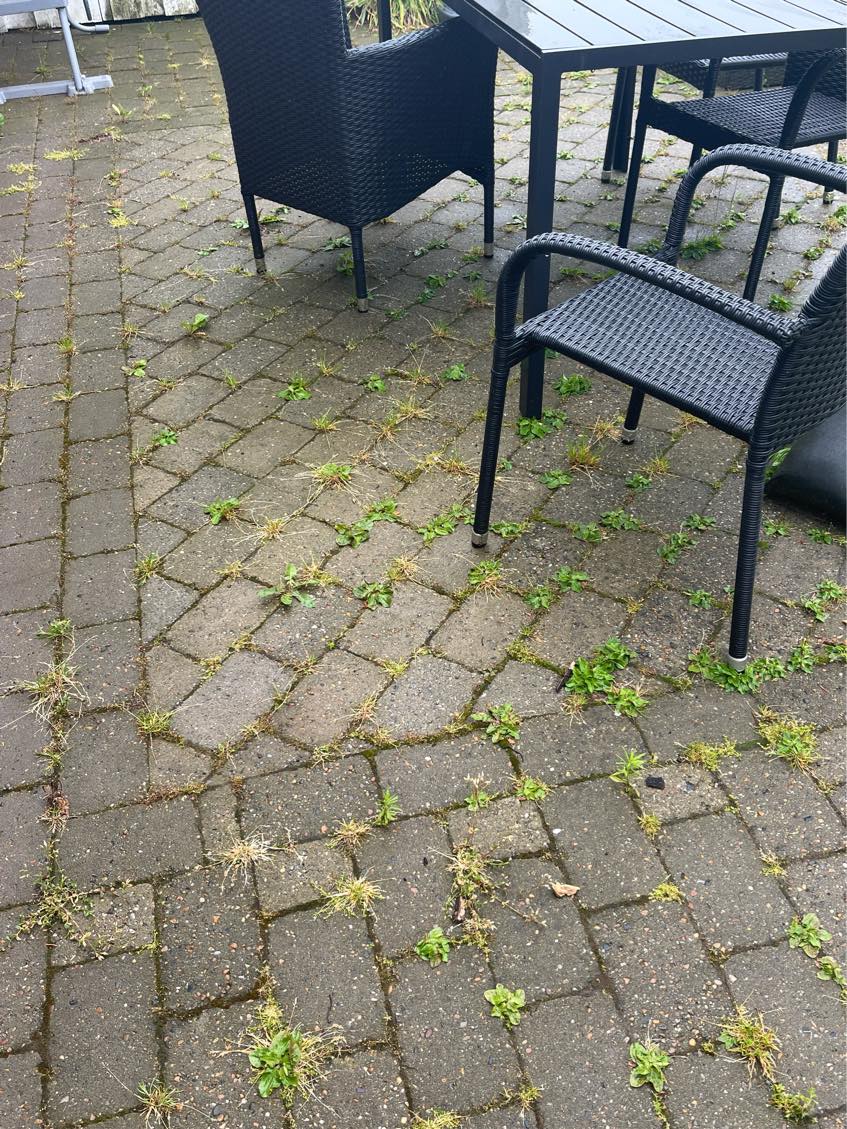 Fjernet ukrudt mellem fliser