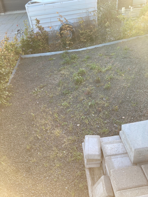 Lugning - hæk + diverse