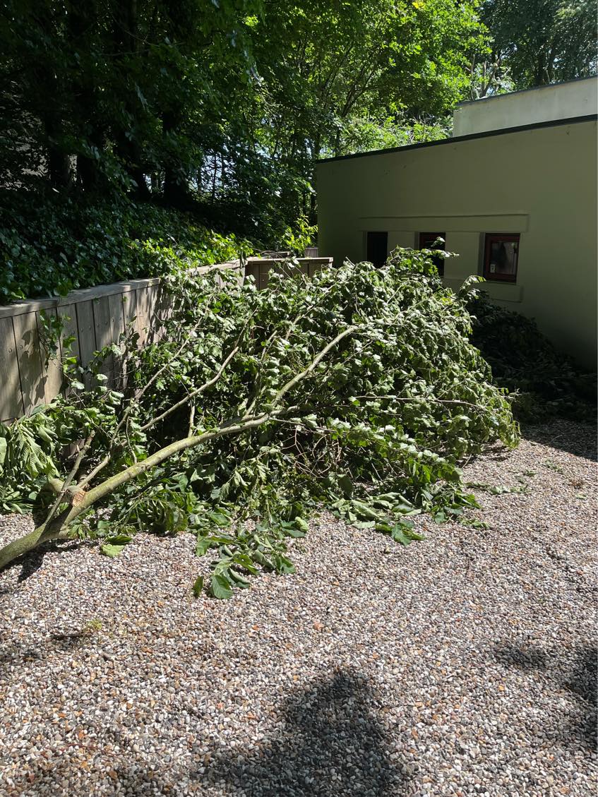 Afhentning af større grene