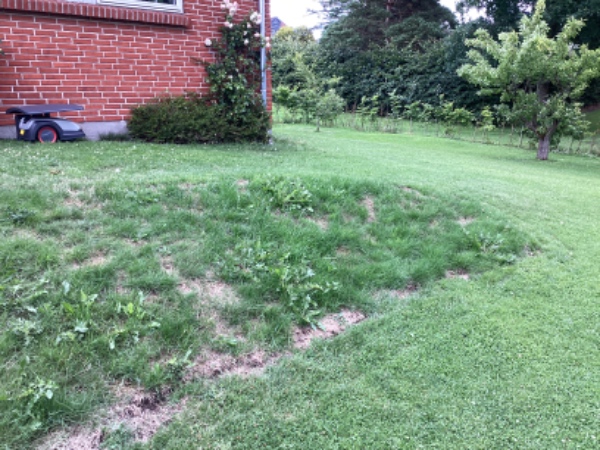 Luge ukrudt, klippe et lille stykke græs