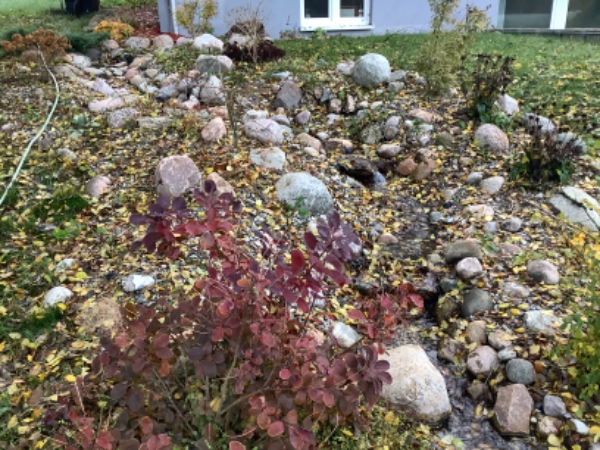 Rense vandløb og kanter for grene, blade mm. Køre planter ind i garagen.