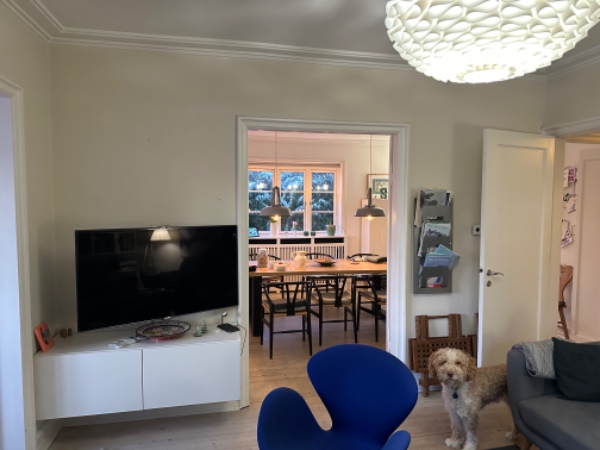 Fjerne savsmuldstapet, spartle vægge, fræse el ind og sætte filt op i en mindre stue.