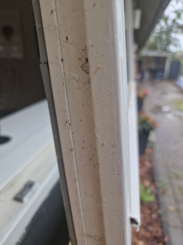 skiftet tætningslister på vinduer