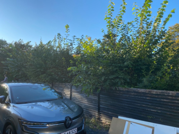 Hække klipning og bortkastet