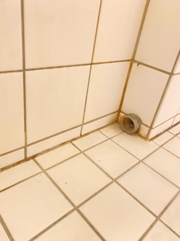 Installeret vaskemaskine + tilslut opvaskemaskine