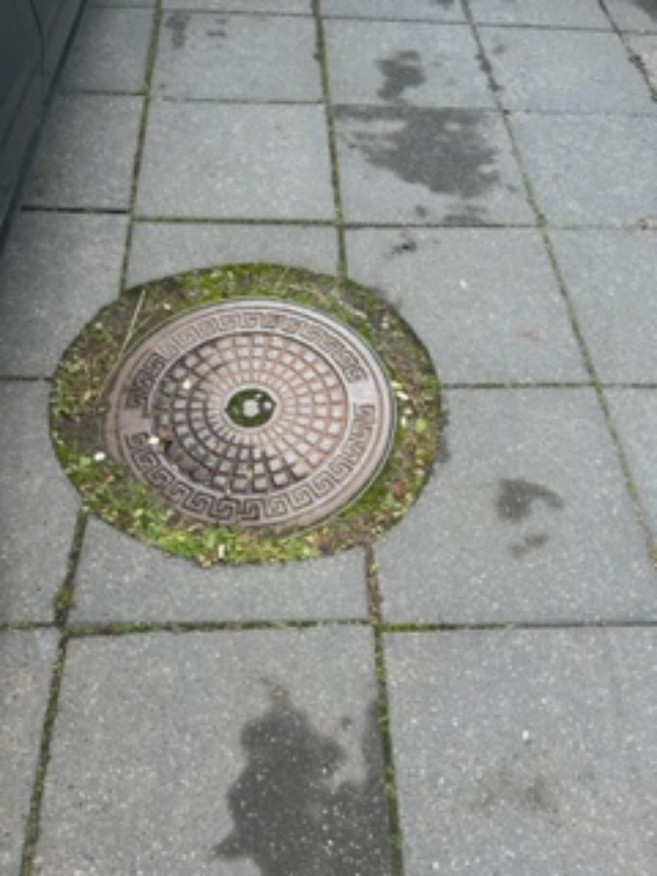 Rensning af rottespærrer og tilse brønd