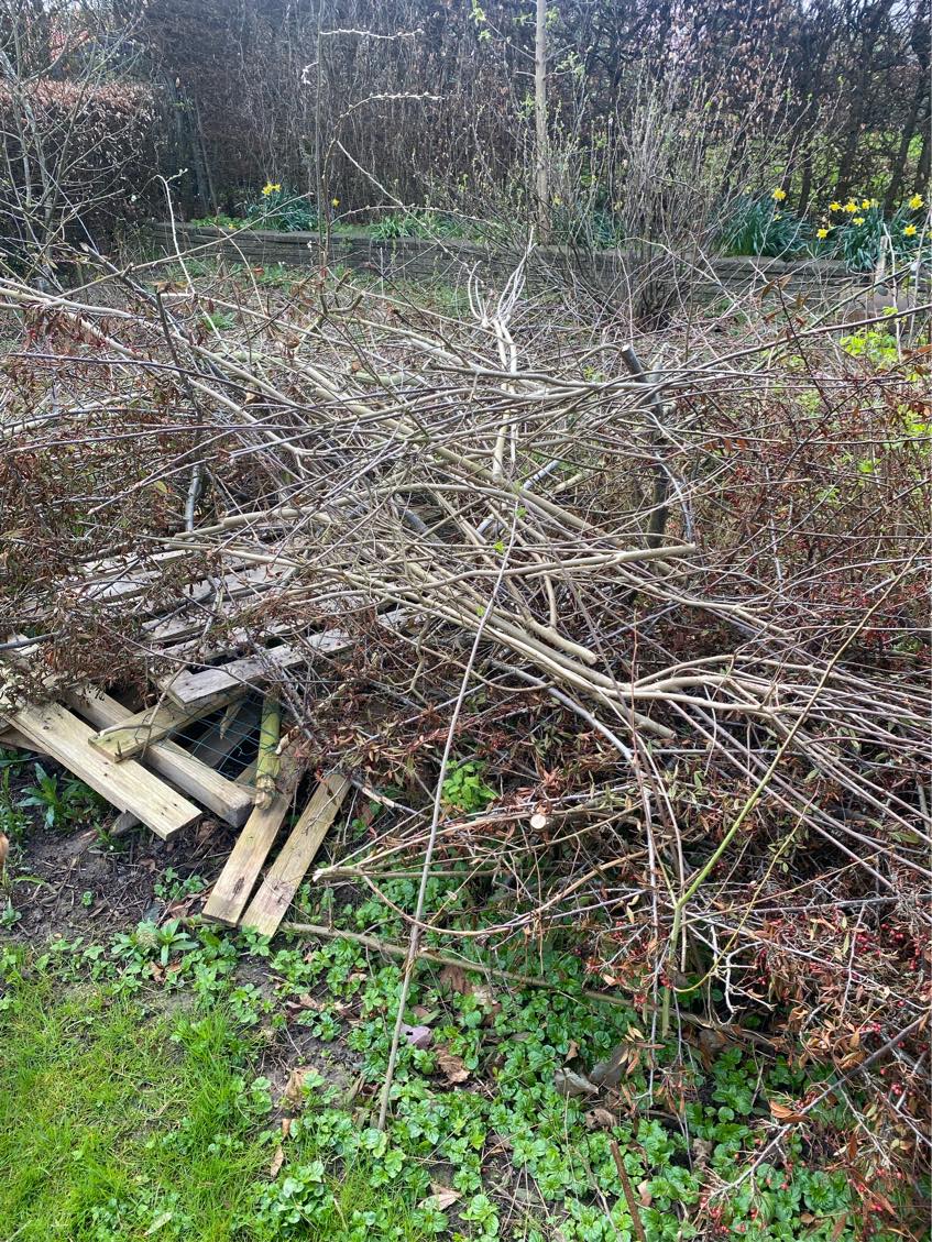 Haveaffald på genbrugspladsen