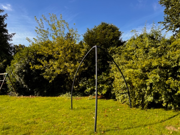 Have ordnes og storskrald fjernes