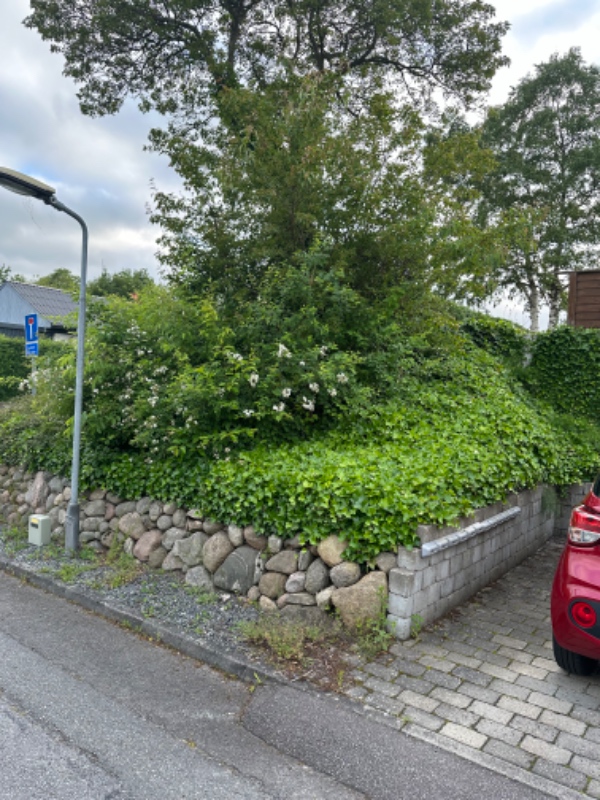 Hækklipning og fjernelse af haveaffald