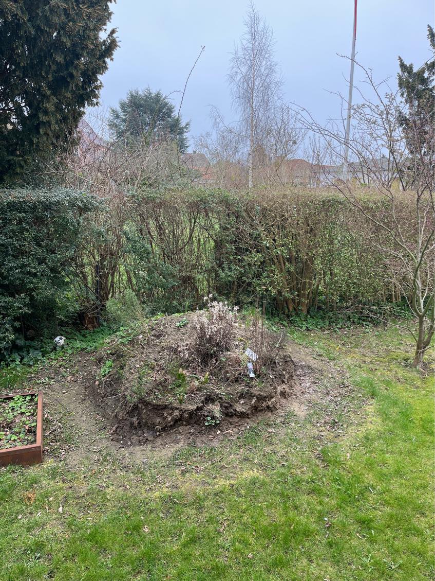 Fjerne jord (jordhøj) - ca. 2 m3