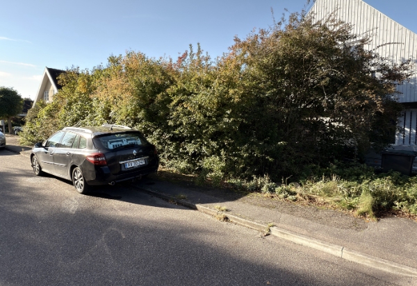 Rydning af bed for planter/buske