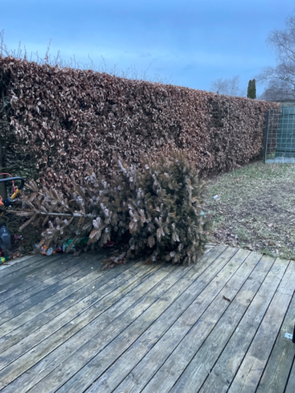 Fjernet affald i forhave og baghave