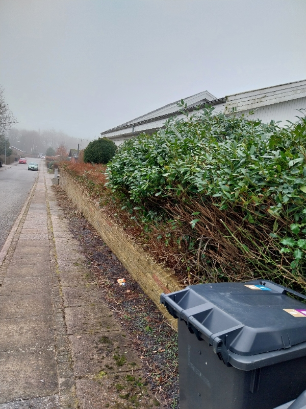 Rydning af forhave og trærod