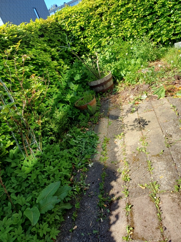 Fjernelse af ukrudt på terrasse