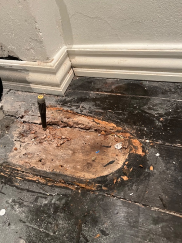 Trægulv som er rådnet på badeværelse (småt)