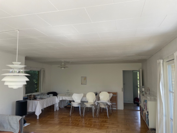 Maling af gibsloft 41 m2