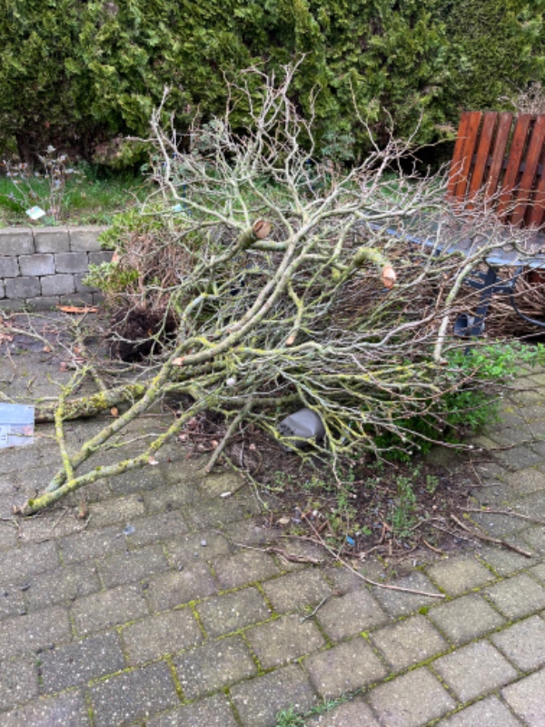 Kørsel af haveaffald og gulv