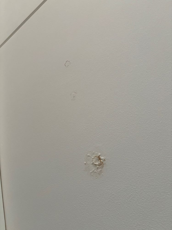 Reparation af loft efter vandskade