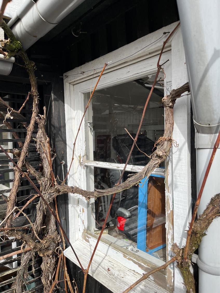 Kitning/reperation og maling af vinduer