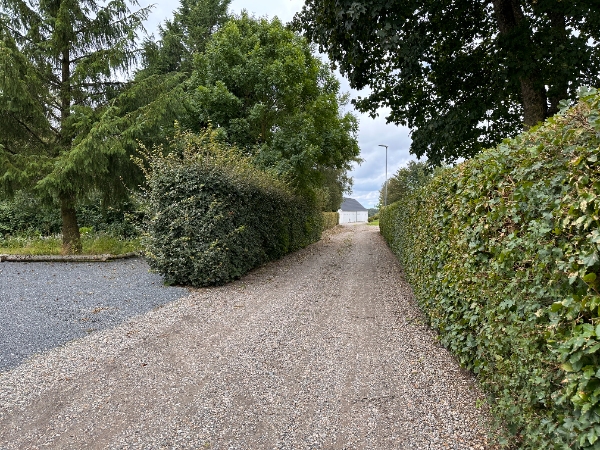 80m hækkeklipning incl bortkørsel af affald