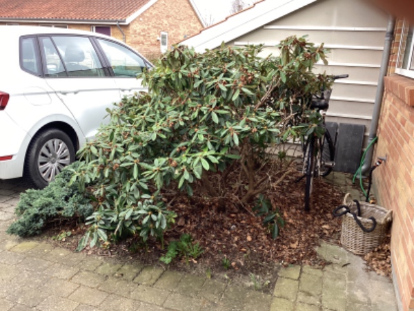 Fjernelse og belægning af bede