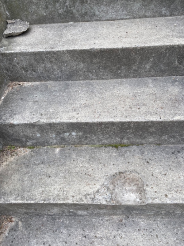 Murer: Reparere og filtse trappe