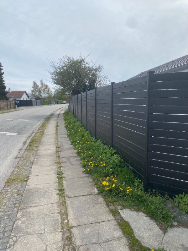 Fjernelse og forebyggelse af ukrudt