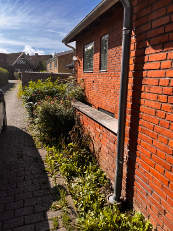 Have ordnes og storskrald fjernes