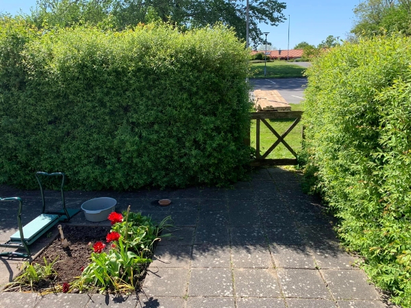 Bæring af egetræsplanker