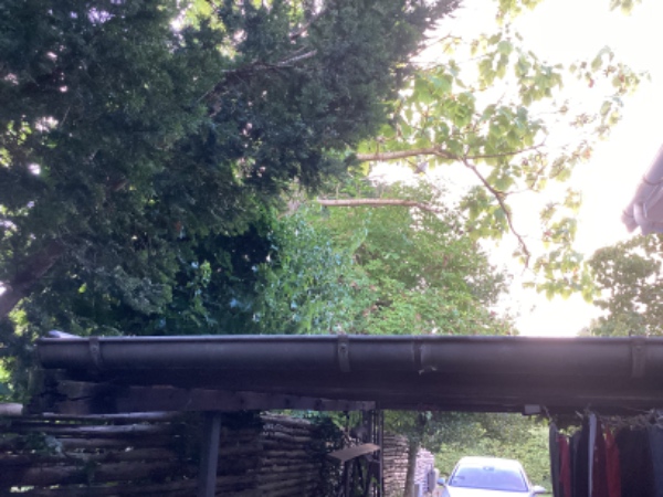 Trapezplader (polycabonat) på carport