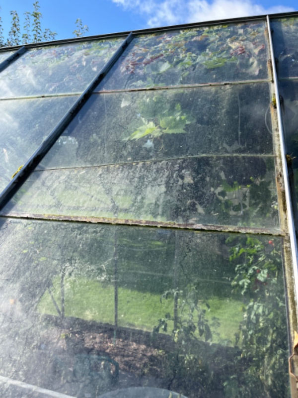 Nye glas i et drivhus