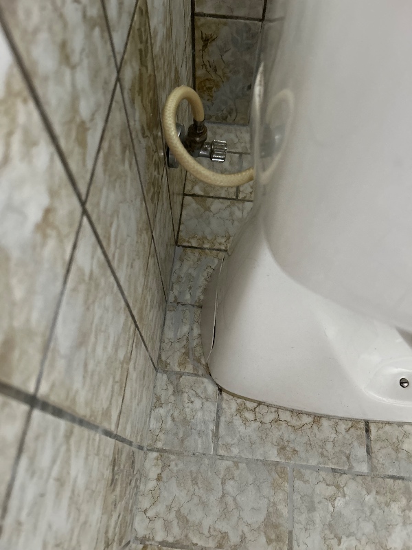 Fjern toilet asap