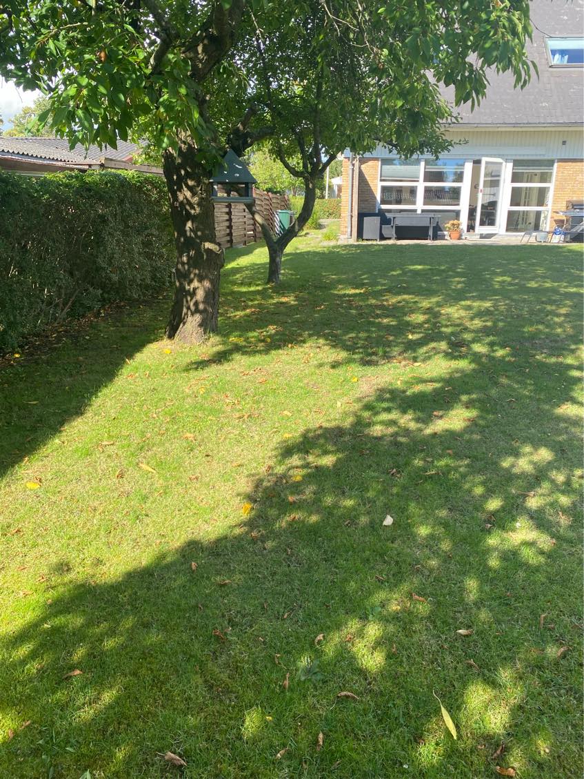 Kørt en masse haveaffald på genbrug