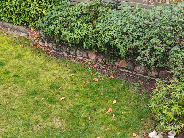 Fejning, blade, små ordne bede