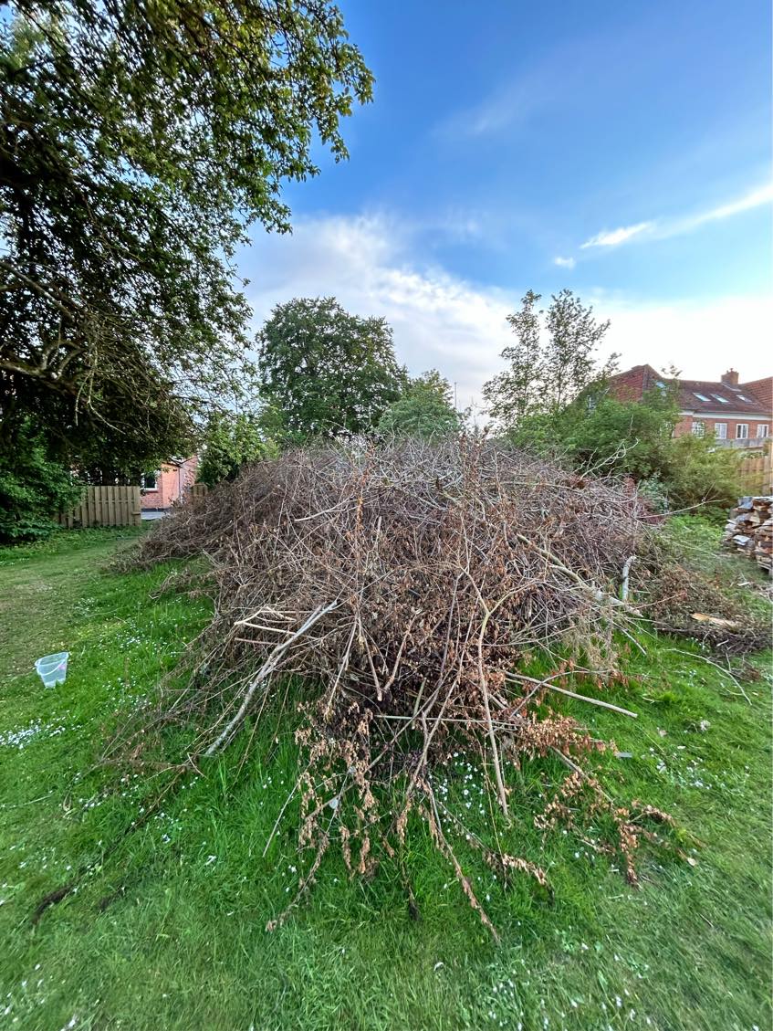 Fjernet 2 bunker grene